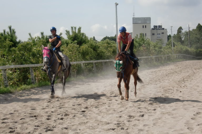 求人 松風馬事センター